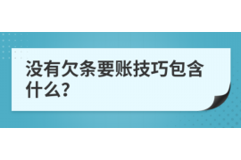 丹阳为什么选择专业追讨公司来处理您的债务纠纷？